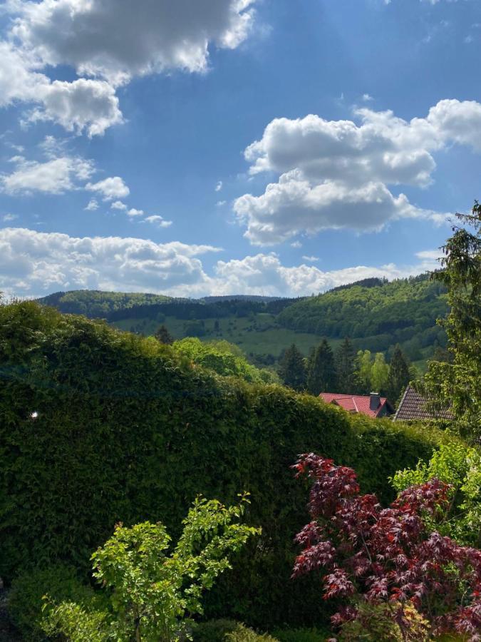 Villa Hills Hut Langelsheim Esterno foto